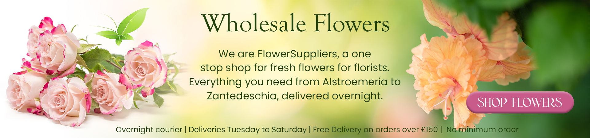 FlowerSuppliers.co.uk cut flowers at wholesale prices